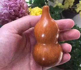 不急于让葫芦变黄的情况