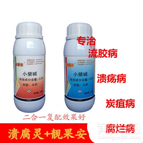 菊花锈病的防治之道，你懂了吗？