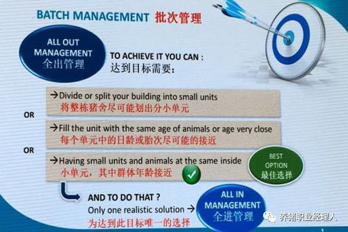 母猪批次化生产管理痛点分析，如何实现高效优化