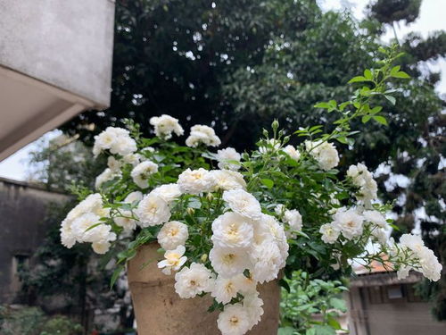 种植季节，你选对了吗？