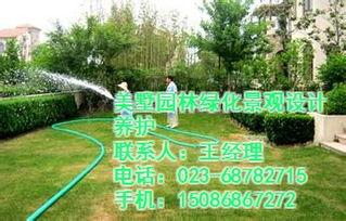 绿化面积与施肥量的关系