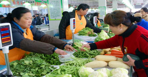 五月份种菜攻略：喜温蔬菜种植正当时