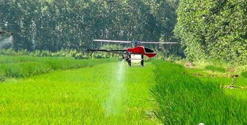 农业气象与生态