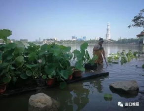 一、 园林添景的奥秘