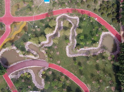 滨州黄河九路长江一路御景生态园滨水公园， 美景如画