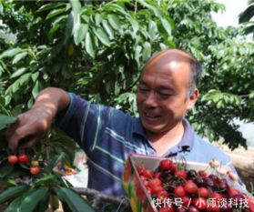 土冰箱：郭叔的智慧