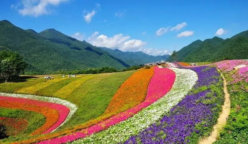 先来聊聊贫瘠地的特点