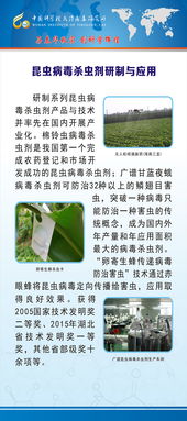 科学研究，给我们答案