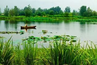 湿地公园景观设计如何融入乡村特色，打造具有地方特色的生态景观？