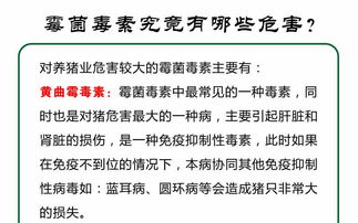 兽用氨基酸饲料添加剂应该如何科学合理地按比例添加到不同动物饲料中？