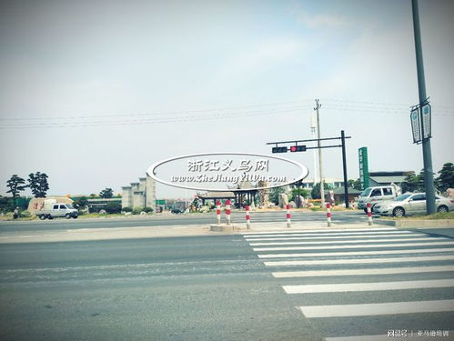 金东区：金华市的重要组成部分