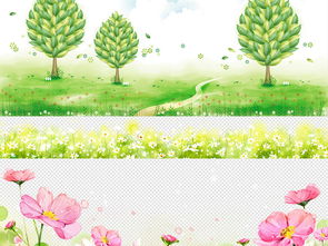 植物的生存之道