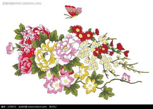 “牡丹花素材，哪家网站最全
