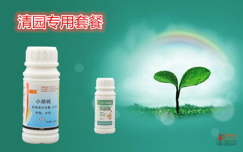 乙草胺65克价格分析