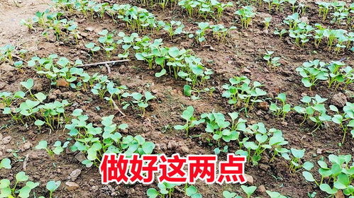 封闭处理，那是个啥？