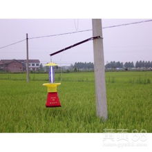 单吊杀虫剂的效果如何？