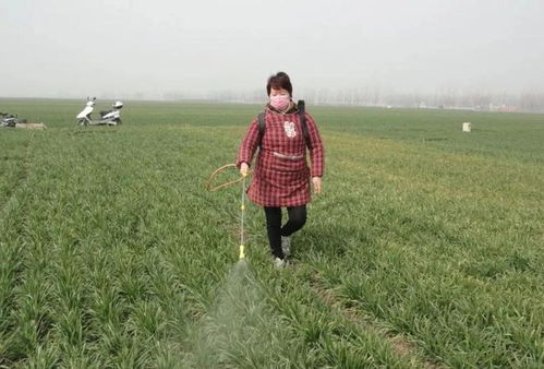 喷喷喷，草儿不见