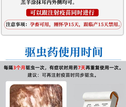 怀孕母猪打虫需要吗？
