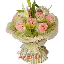 康乃馨文化探秘：揭秘其象征意义与花卉之美