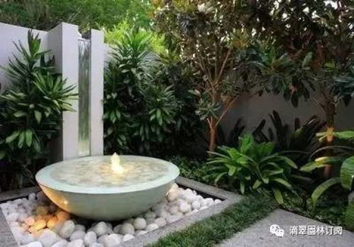 种什么树风水好？如何打造院子好风水