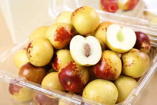 冬枣成熟季，错过这个时间要等一年