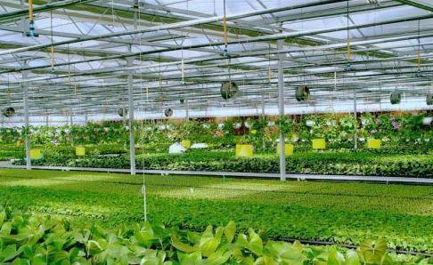 创新农业养殖舍，环保节能