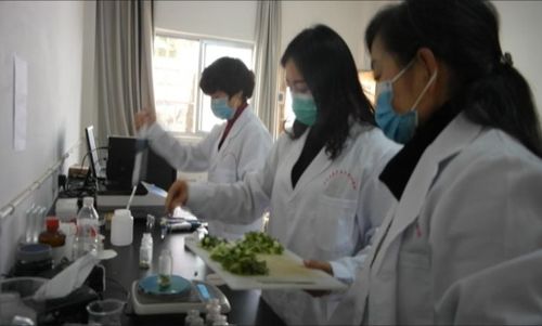 十堰农药残留环境监测中心：守护农产品平安的坚实后盾
