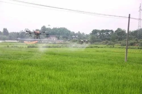 一亩地用农药， 得kan说明书