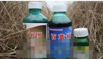 自救要点：百草枯中毒后的关键自救点