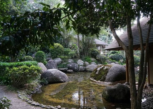 中日园林的大杂烩比较