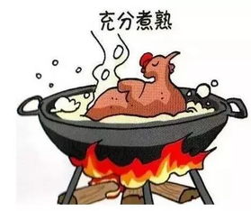 猪饲料高温消毒的最佳方法和注意事项有哪些？