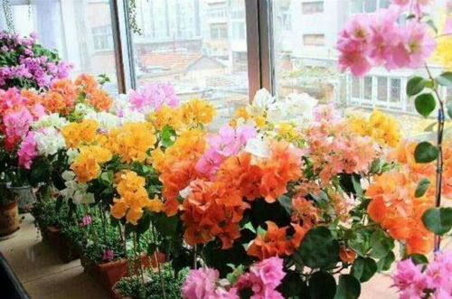 土壤也要讲究哦！