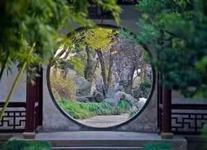 树枝：伸展自如错落有致