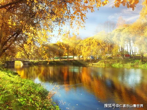 秋天播种，有啥讲究？