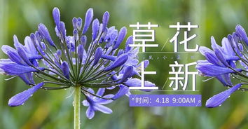 7天内生长较快植物的排名及大致情况