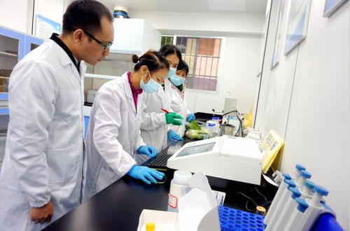韶关农药残留检测机构有哪些？