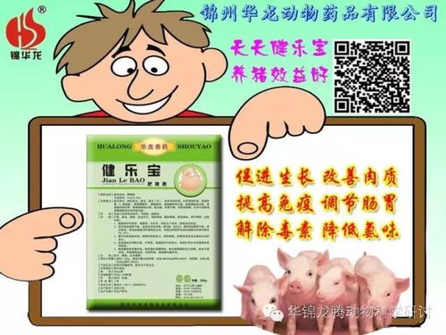 科学应用多肽抗生素，提升养猪健康效益