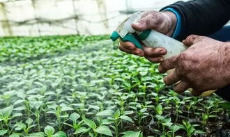 药效与药害，一线之隔