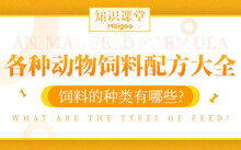 中国反刍饲料十大品牌和世界十大反刍饲料品牌有哪些区别？