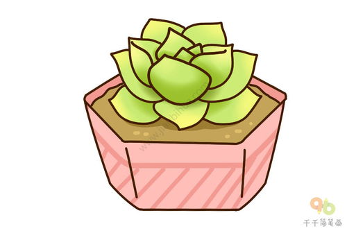 多肉开花兆头， 预着家中幸福生活将会梗加美