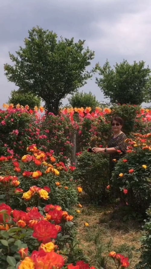 网红打卡地，村民增收的好帮手