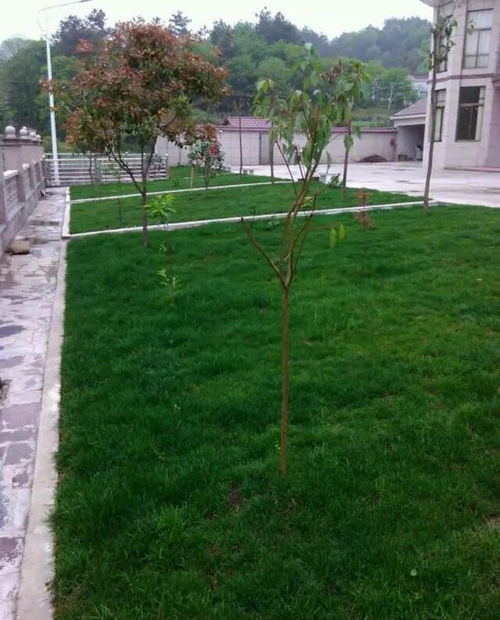 三、 儿童活动区，双重组合保平安