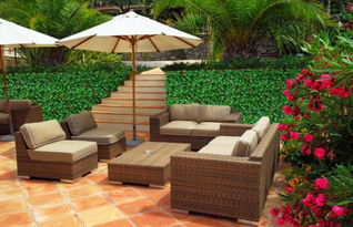 塑料的，还是木头的，到底哪个好咧？