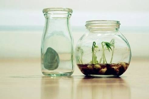 硫酸铜：水稻的“神秘客”