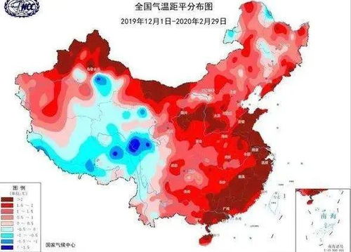 山东冬天零下气温下哪些长青草嫩平安养护那个？
