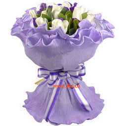 白玫瑰：纯净之美的花卉象征与寓意解析