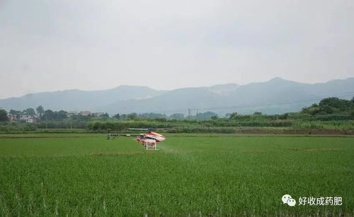 石灰与农药的奇妙相遇