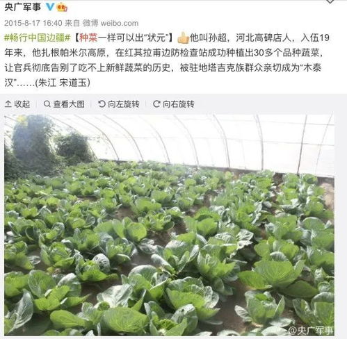 方案四：轮作套种， 提高土地利用率
