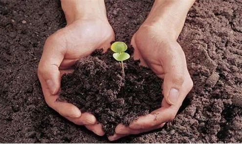 视频教你改良碱性土壤