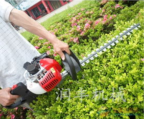 规则式绿篱的修剪